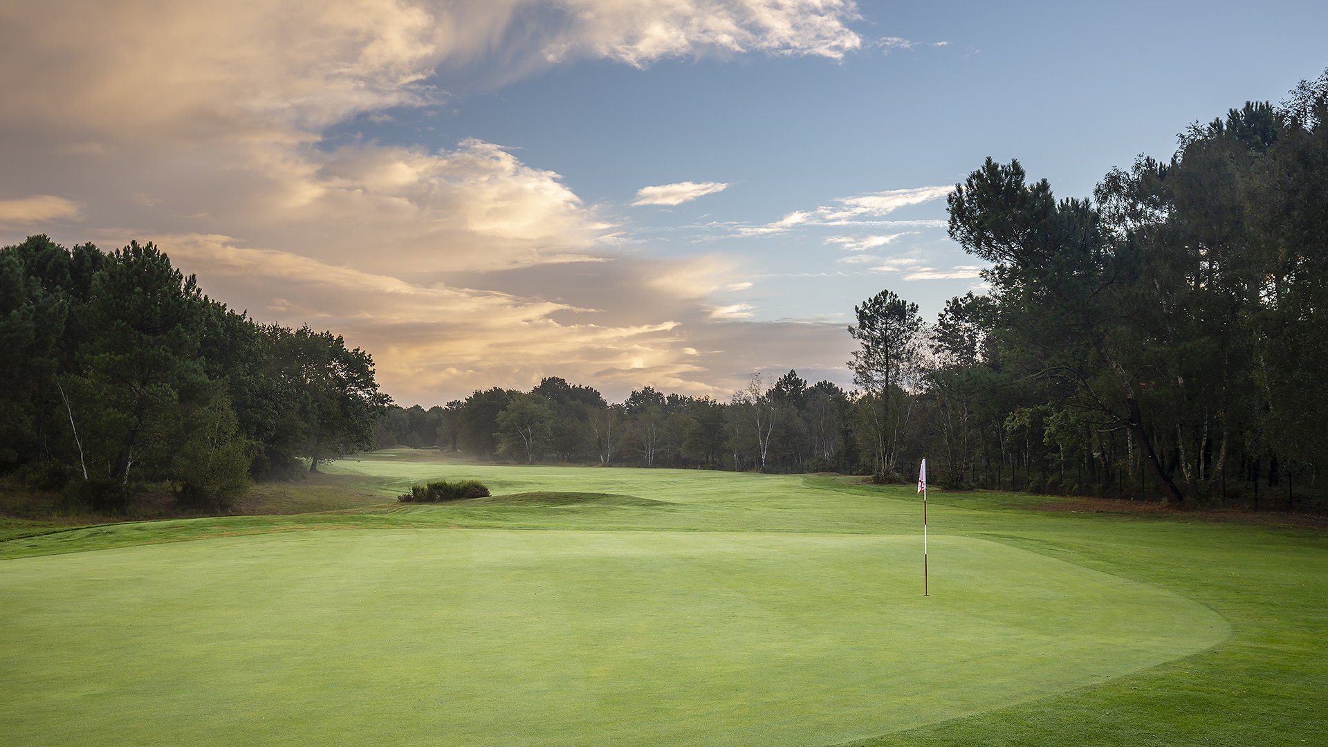 Parcours les vignes 5