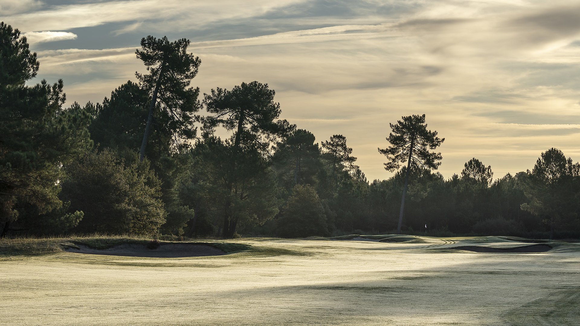 Parcours les vignes 4